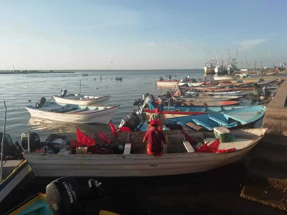 Pescadores del sur de Sonora buscarán apoyo en la CDMX