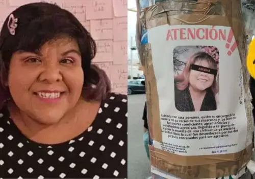¿Cómo se hizo famosa la influencer AimeP3? La acusan de maltrato animal