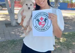Buscarán hogar para cachorros en Cajeme