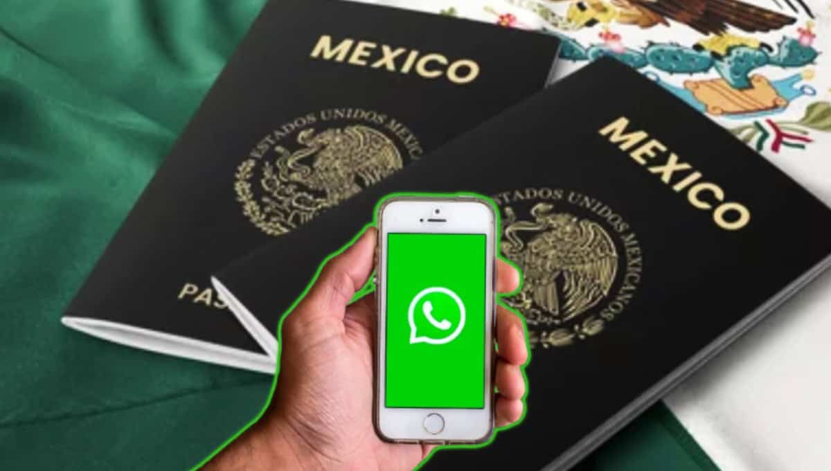 Pasaporte mexicano: así puedes obtener una cita por medio de WhatsApp