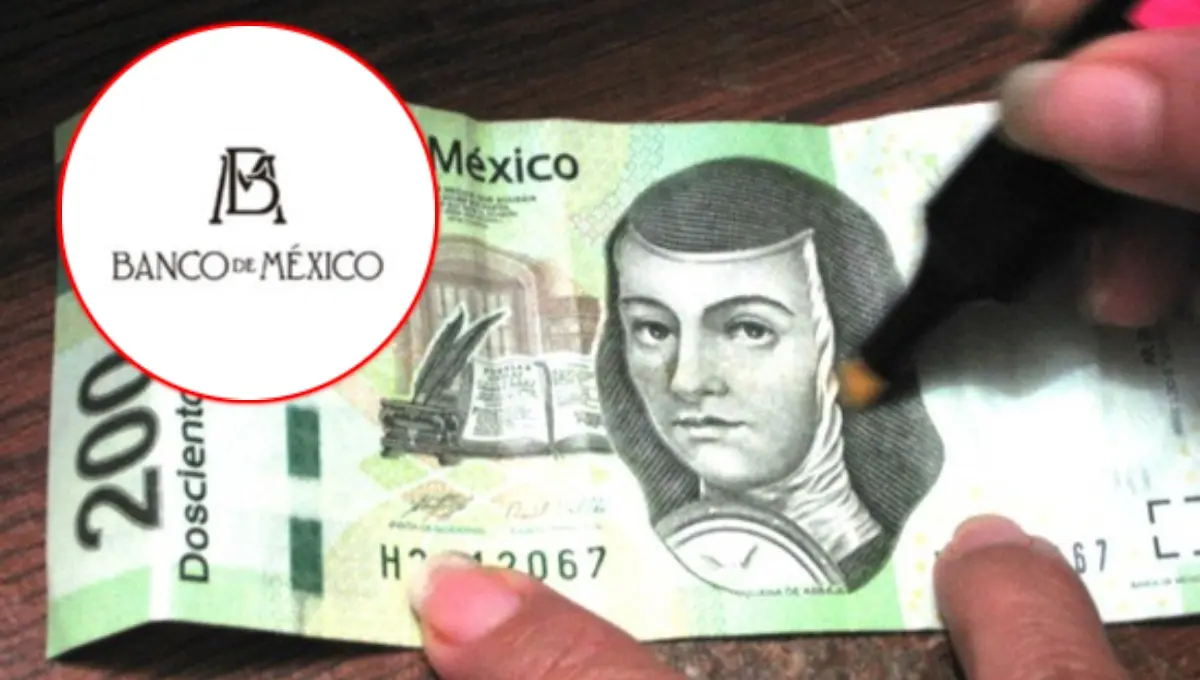 Banxico explica si es o no confiable usar el plumón para billetes falsos. Foto: Original