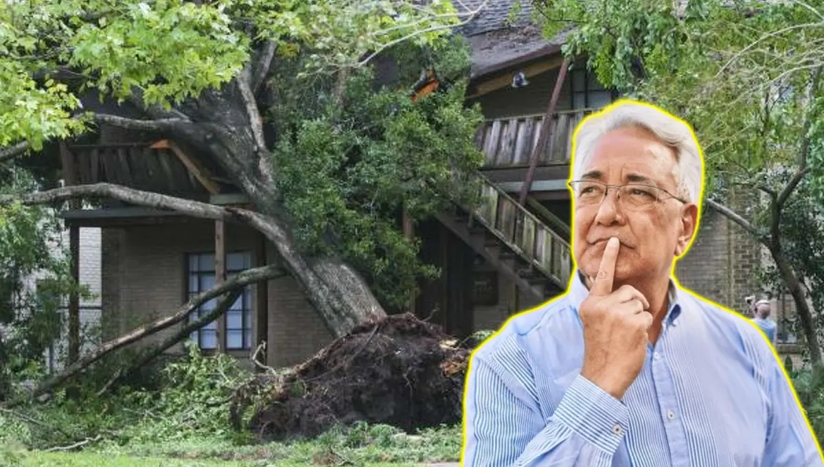 Esto debes hacer en caso de que el árbol de tu vecino dañe tu propiedad. Foto: Original