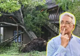 ¿El árbol de tu vecino dañó tu propiedad? esto debes hacer