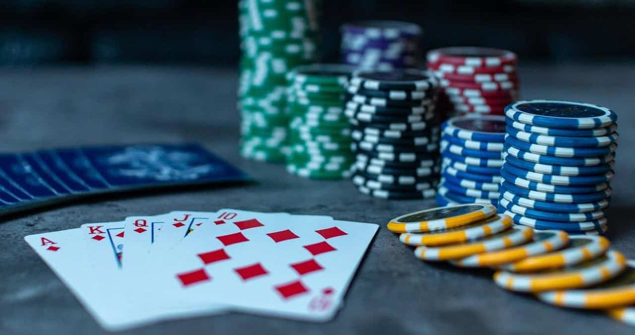 Guías especializadas para variantes poco conocidas