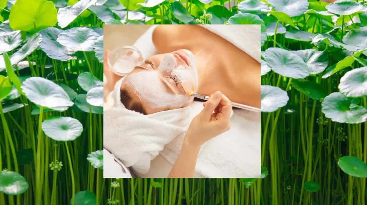 Centella Asiática es clave en la rutina de skincare coreana para una piel radiante y suave
