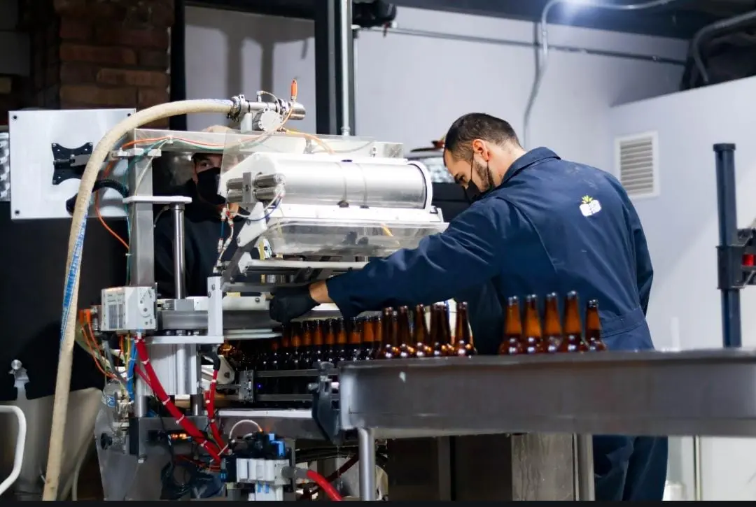 Estable, la producción de cerveza artesanal en Cajeme