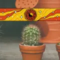 ¿Es de mala suerte si colocamos un cactus en estas habitaciones? Esto dice el Feng Shui