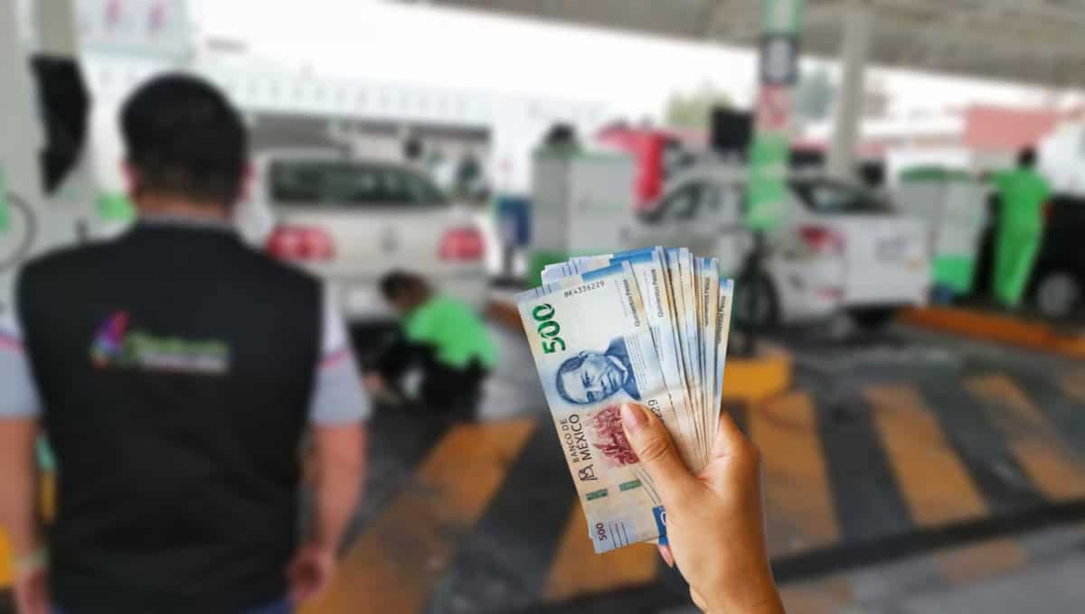 Verificación vehicular: multas por pago extemporáneo serán suspendidas hasta 2026