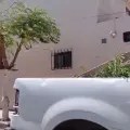 Siguen denuncias por presunta tala de árboles en Cajeme; Ecología investiga