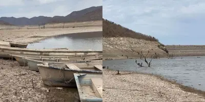Trae lluvia esperanza a productores del Mayo
