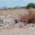 Buscan evitar criaderos de mosquitos en Providencia
