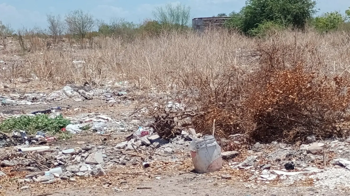 Buscan evitar criaderos de mosquitos en Providencia