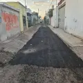 Dan manita de gato a callejón República de Haití en Cajeme