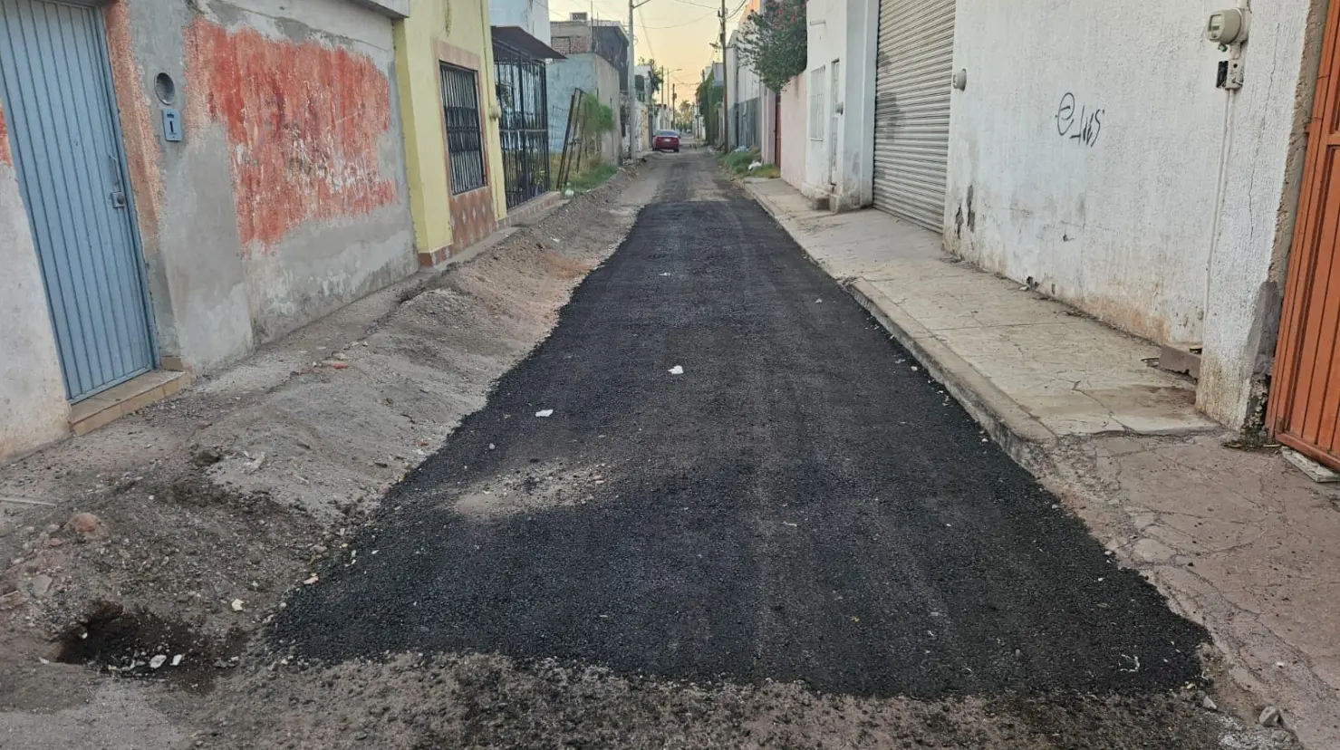 Dan manita de gato a callejón República de Haití en Cajeme