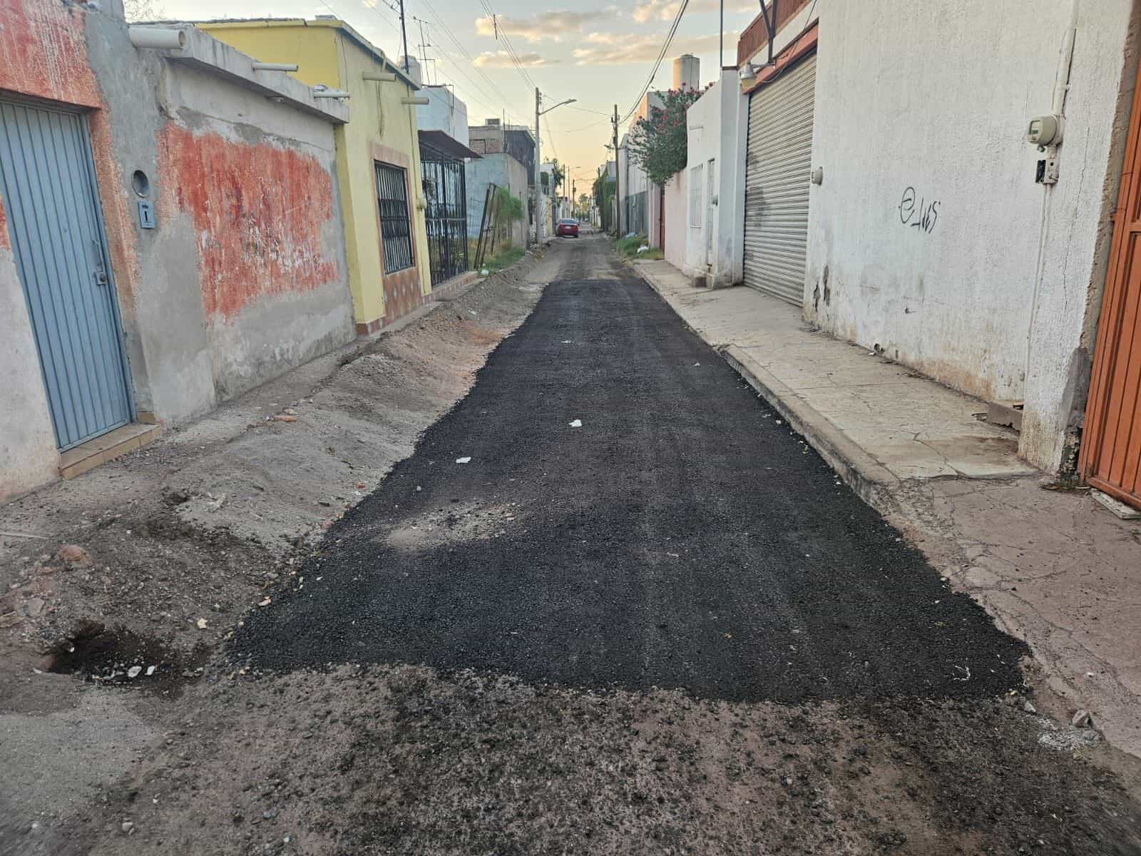Dan manita de gato a callejón República de Haití en Cajeme