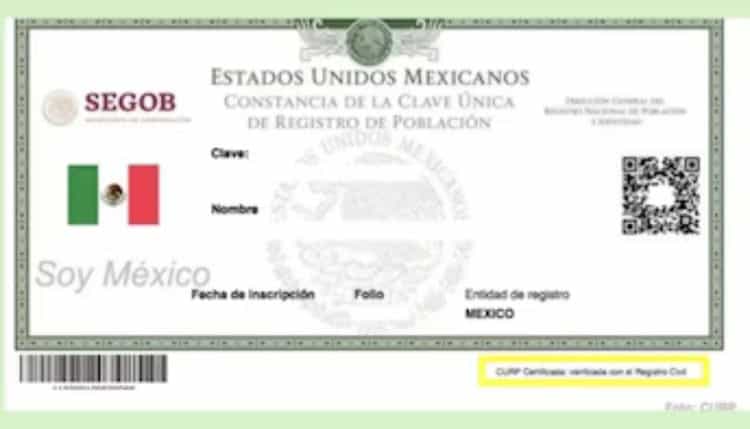imagen-cuerpo imagen-cuerpo