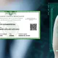 CURP Biométrica: diputados aprueban nuevo documento; ¿qué es y qué información llevará?