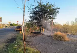 Bomberos de Cajeme controlan incendio en terreno baldío