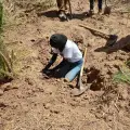 Reanudan búsqueda en cementerio clandestino del Valle del Yaqui