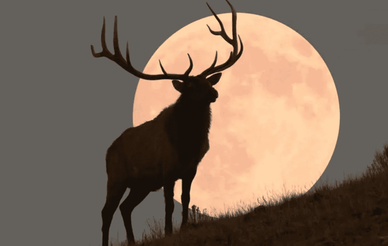 Fenómenos astronómicos de julio 2025: Superluna y Plutón más brillante que nunca