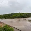 Corren arroyos de Álamos