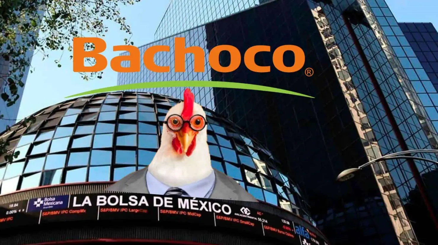 Bachoco se despide de la Bolsa Mexicana de Valores ¿Por qué y cuáles son los cambios que tendrá?