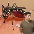 Conoce este truco viral para poder deshacerte de los mosquitos
