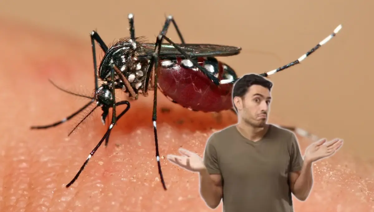 Conoce este truco viral para poder deshacerte de los mosquitos. Foto: Original