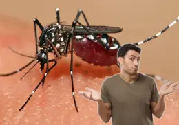 Conoce este truco viral para poder deshacerte de los mosquitos