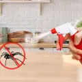 Elimina las arañas de tu casa con este ingrediente de cocina