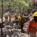 Protección Civil logra controlar el 100% del incendio en Sierra Los Ajos