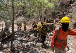 Protección Civil logra controlar el 100% del incendio en Sierra Los Ajos