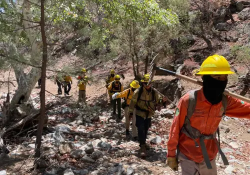 Protección Civil logra controlar el 100% del incendio en Sierra Los Ajos