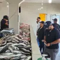 Escasean pescados y mariscos en Ciudad Obregón