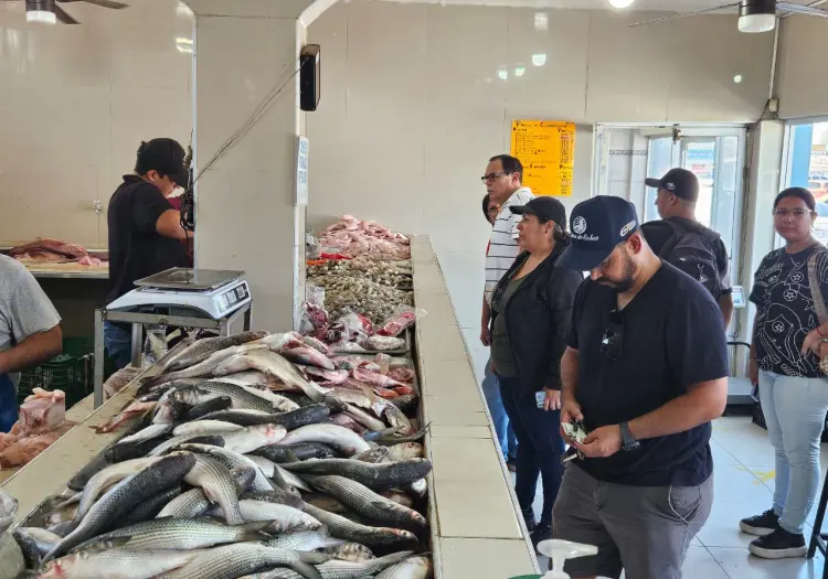 Escasean pescados y mariscos en Ciudad Obregón