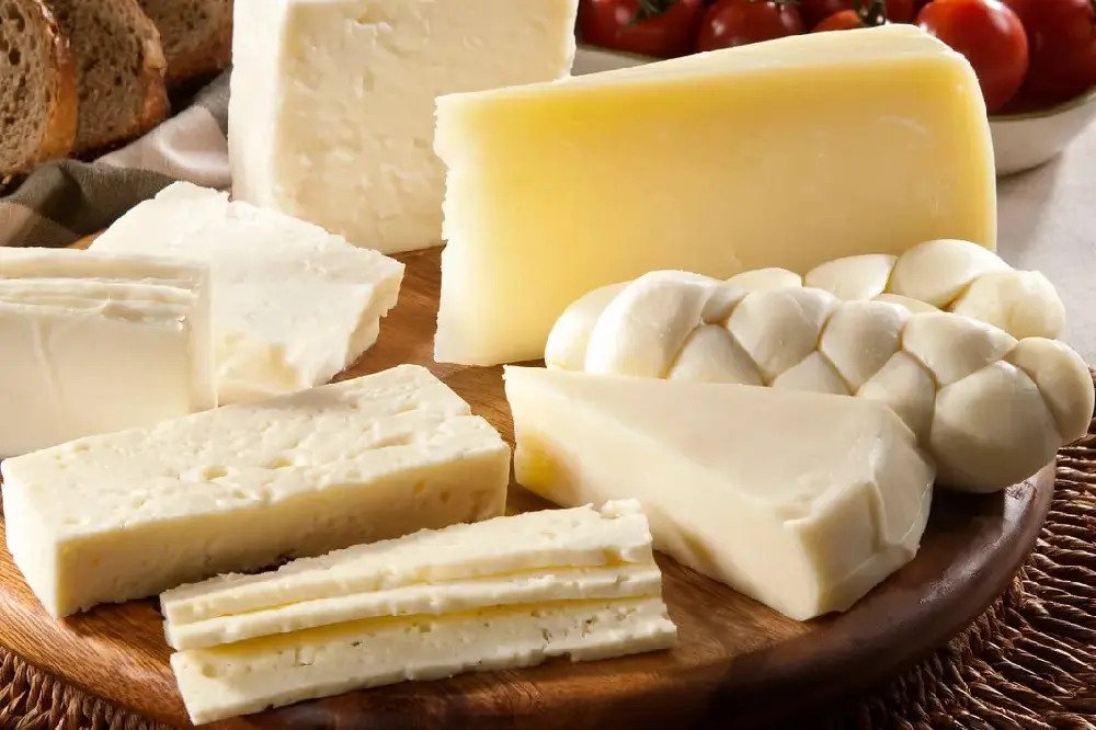 Ciudadanos aprenderán a elaborar queso asadero en Itson