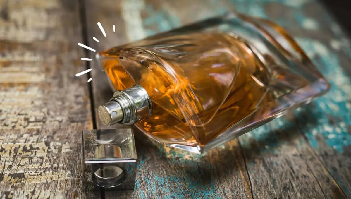 Este perfume es cítrico y muy envolvente / Pexels