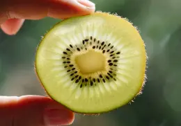3 alimentos que tienen propiedades curativas, pero tal vez no sabías | Recomendaciones