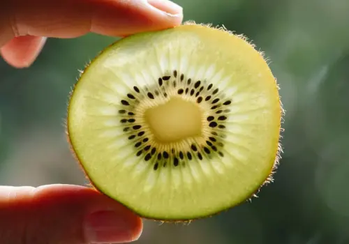 3 alimentos que tienen propiedades curativas, pero tal vez no sabías | Recomendaciones