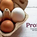 Esta es la marca de huevos con mayor contenido de Omega 3, según Profeco