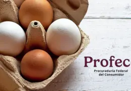 Esta es la marca de huevos con mayor contenido de Omega 3, según Profeco