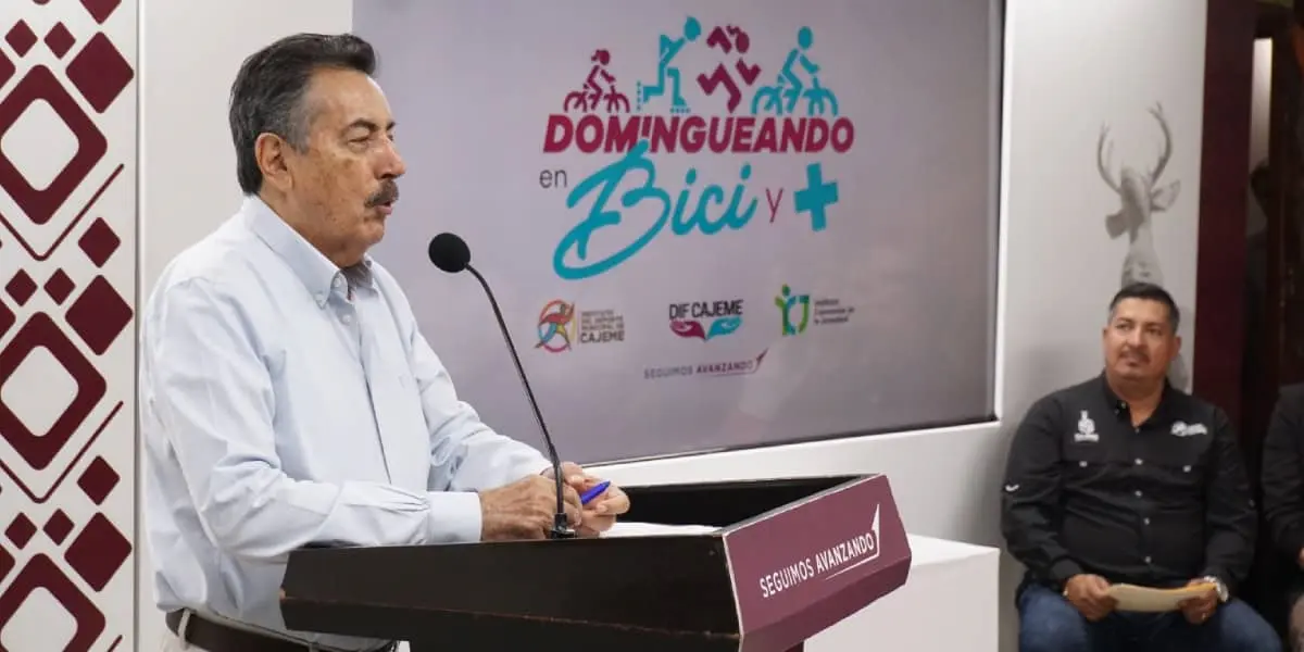 Javier Lamarque Cano