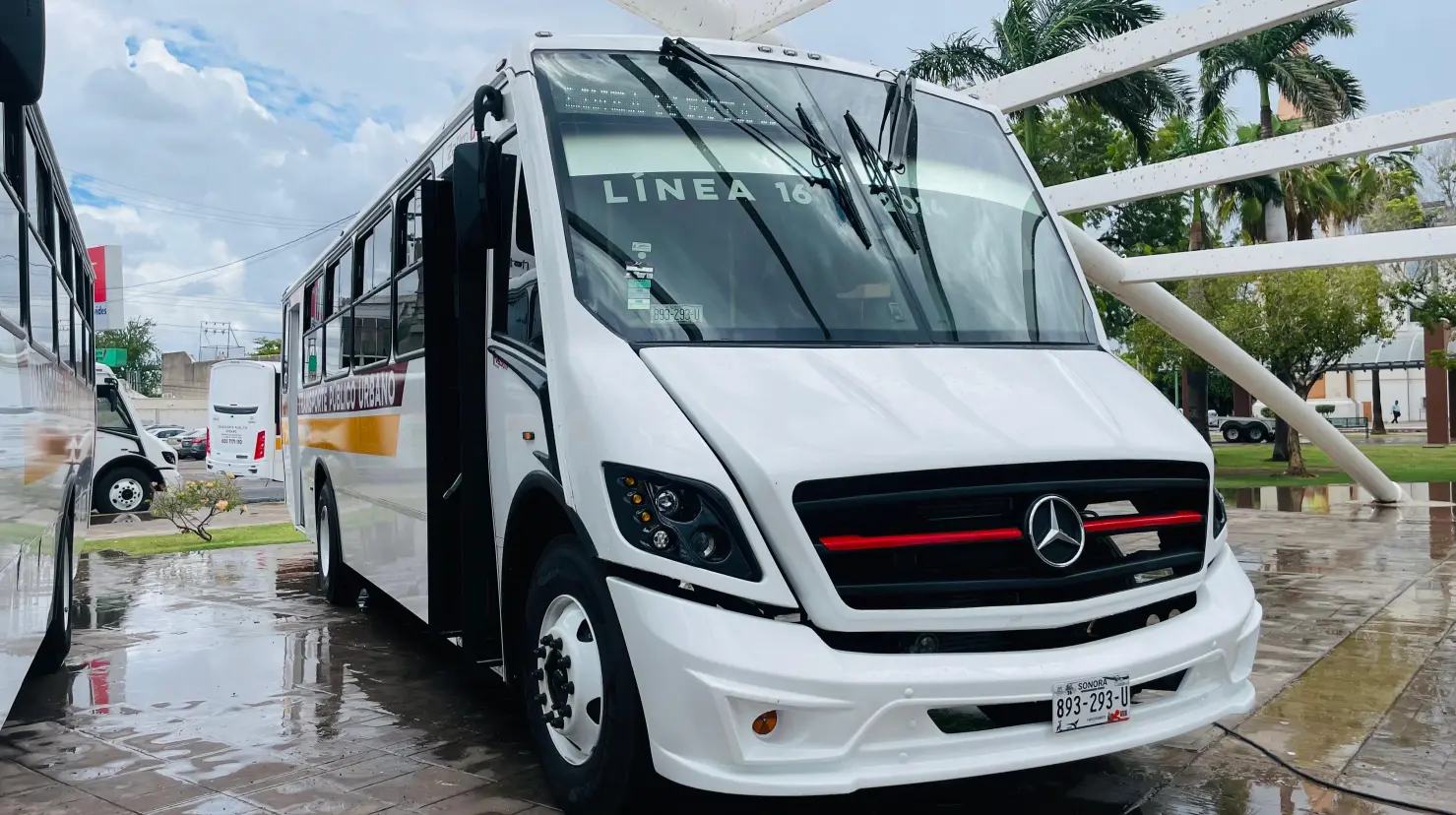 Sindicato del transporte en Obregón priorizará reposición de unidades