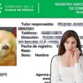 ¿Autoridades de la CDMX pueden pedir el registro de la mascota? Aquí te decimos