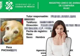 ¿Autoridades de la CDMX pueden pedir el registro de la mascota? Aquí te decimos