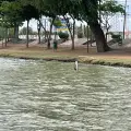 Ya no bajará el nivel del agua en la Laguna de Náinari