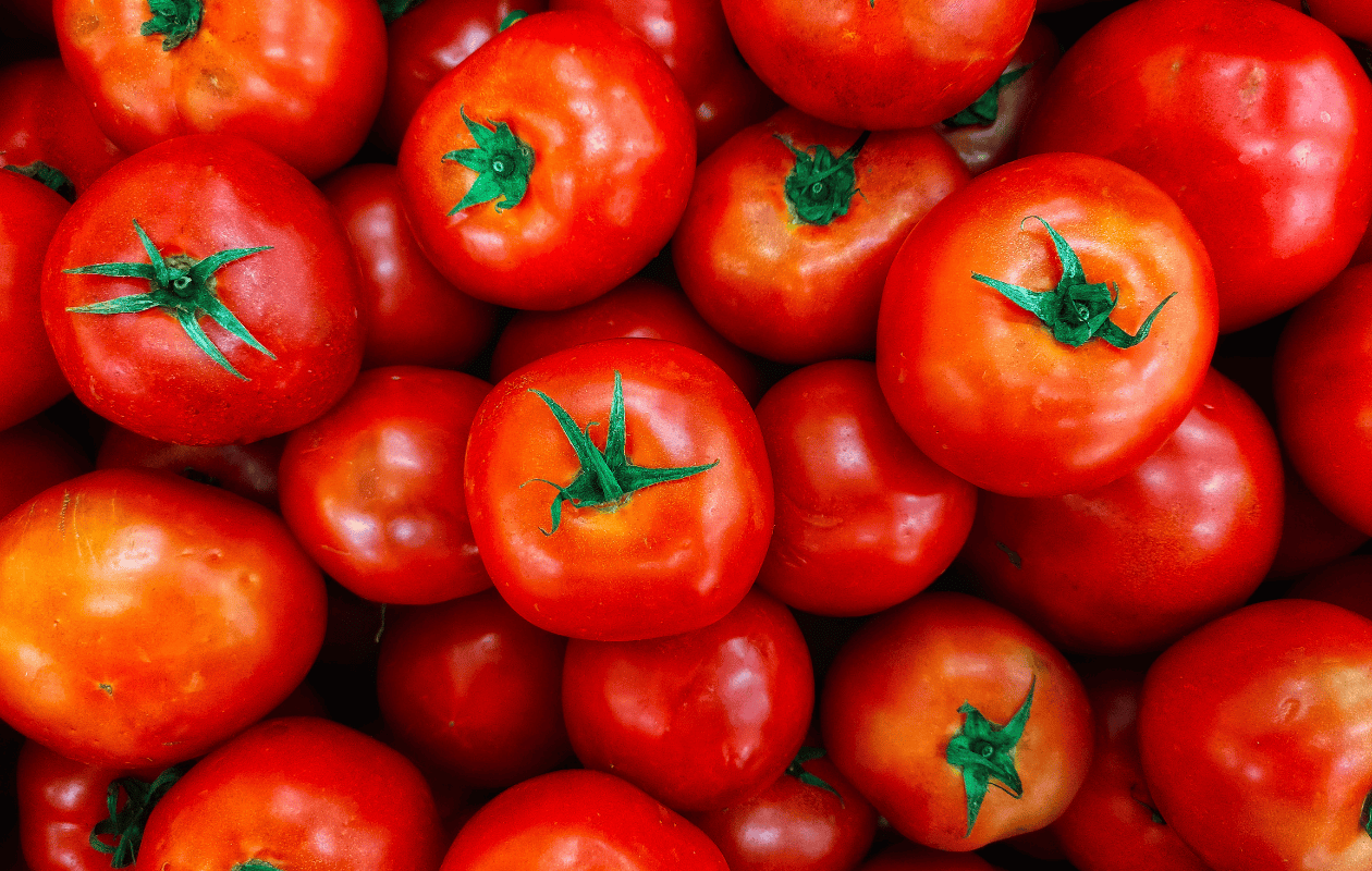 Precio del tomate podría subir en EE. UU. por fin del acuerdo comercial con México