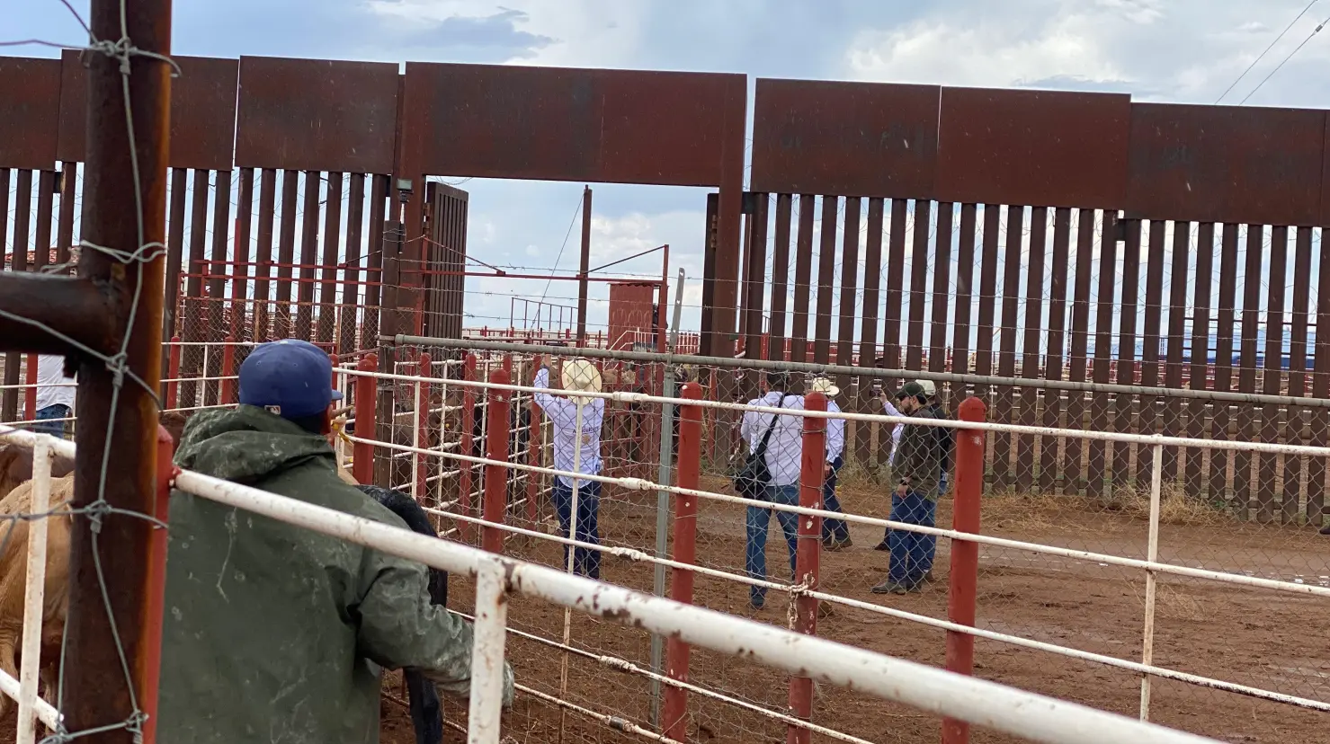 Sader busca apertura de cuarentenaria de Nogales
