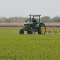 Campo, sin financiamiento