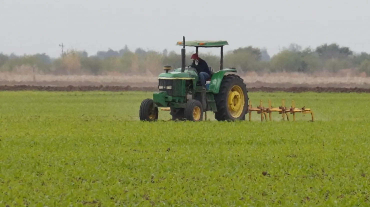 Campo, sin financiamiento